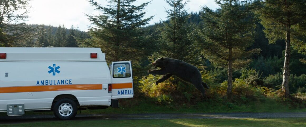 Oso Intoxicado