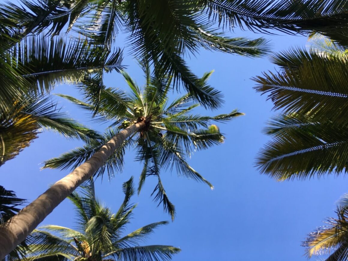 maleta para ir a la playa