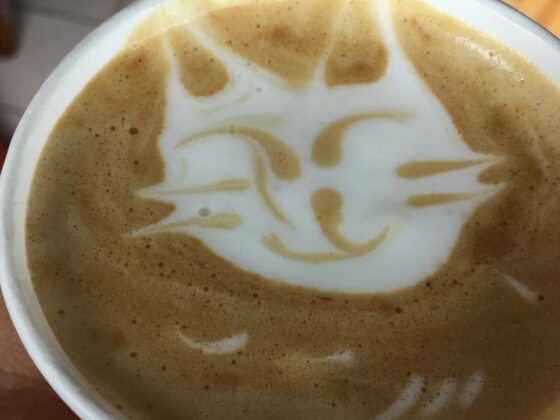beber café