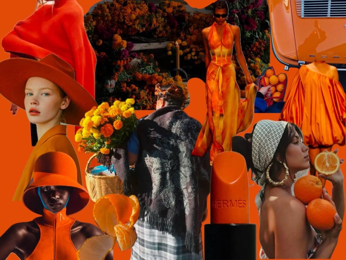 naranja dulce 2025